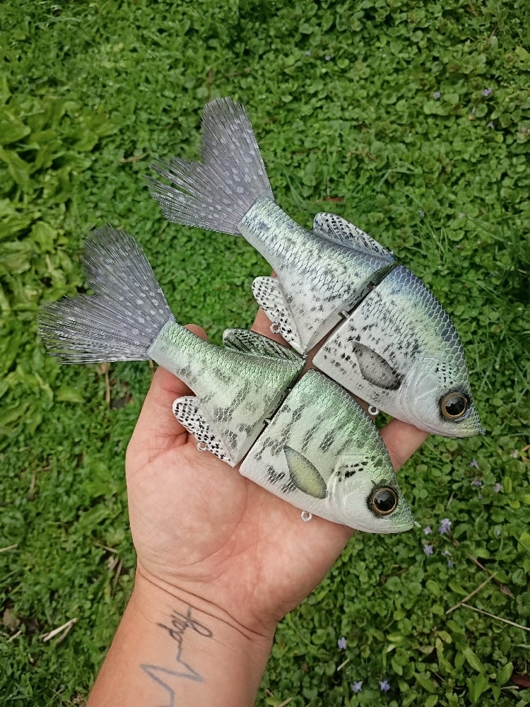 Image of Crooked Crappie