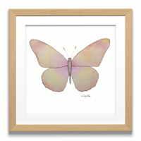 Mariposa "Radiant light"