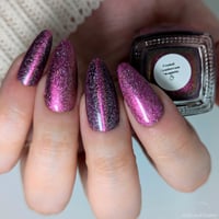 Image 13 of Frosted Cranberries *magnetic