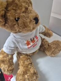Image 2 of Personlised tshirt teddy bear