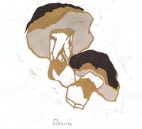 Image 1 of Porcini