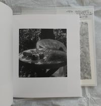 Image 4 of Photobook Jardins du Riesthal + original analog print