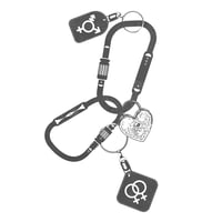 Image 3 of carabiner with charms