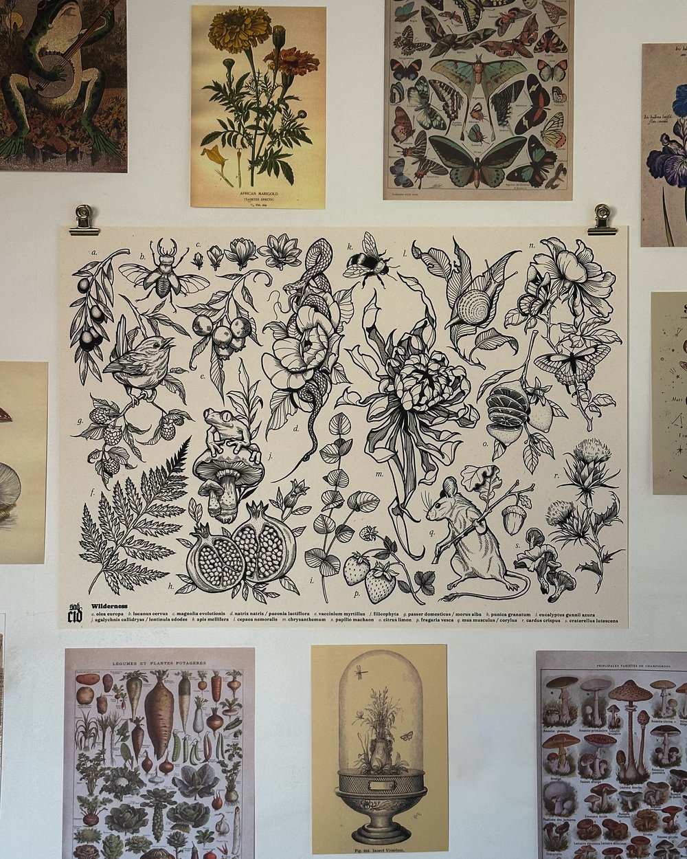Image of Wilderness