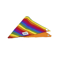 Pride - Dog Bandana