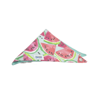 Watermelon - Dog Bandana