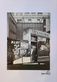 Image 1 of 'Window Dressing'