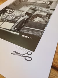Image 2 of 'Window Dressing'