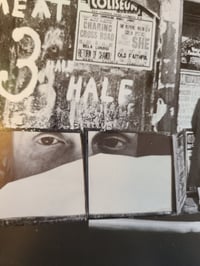 Image 4 of 'Window Dressing'