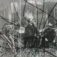 Image 1 of Finje - Finje