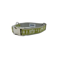 Open Road Green - Dog Collar