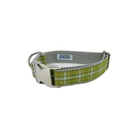 Plaid Perfection Green - Dog Collar 