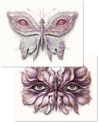 Image 1 of Lepidoptera 16 & 18 - Albino Variants
