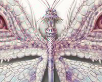 Image 4 of Lepidoptera 16 & 18 - Albino Variants