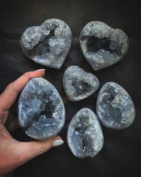 Image 1 of Celestite 