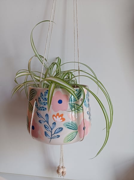 Image of Pot suspendu rose et bleu 