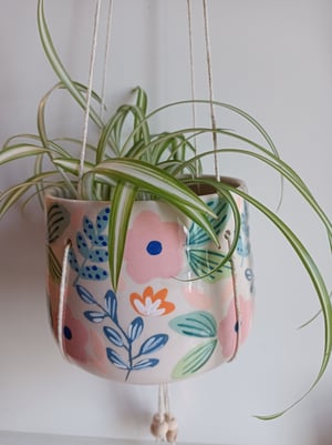 Image of Pot suspendu rose et bleu 