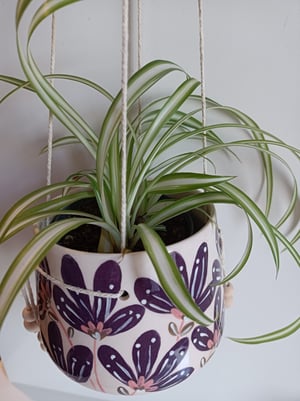 Image of Pot suspendu fleuri violet