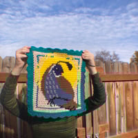 Image 2 of quail • sprint