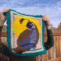 Image 3 of quail • sprint