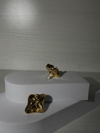 Image 3 of Polux