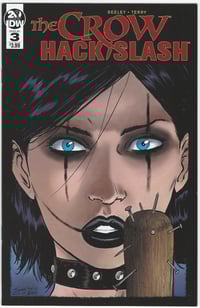 The Crow Vs Hack Slash #3 (Seeley/Terry cover)