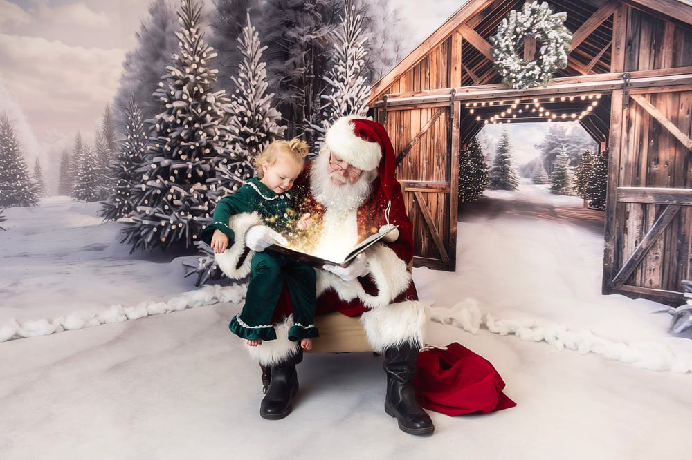 Image of Santa Mini Sessions Deposit