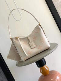Image 1 of Carry all bag#2