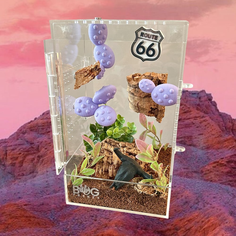 FHOS - Space Cowgirls pt 2 "Road Trip"