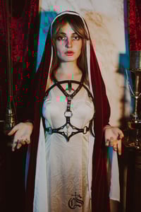 Image 1 of Harnais "Lux Ecclesiae"