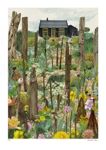 Image of Prospect Cottage