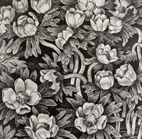 Image 6 of Woodland Plants by Heather and Robin Tanner signed special edition