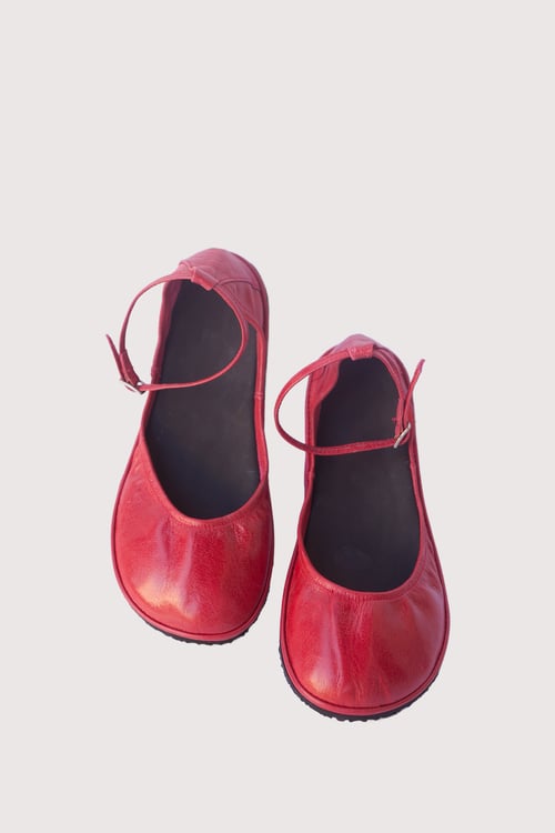 Image of Minimus in TDL red