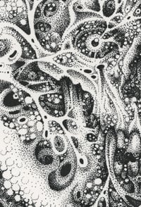 Image 2 of Mort I