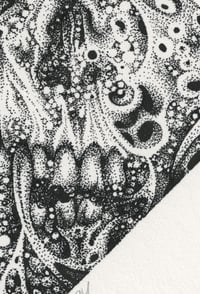 Image 4 of Mort I