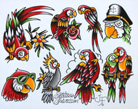 Parrots