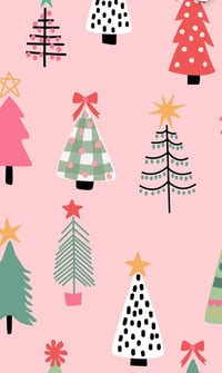 Christmas Boudoir Mini $60