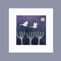 Image 2 of Frost Kings Lace