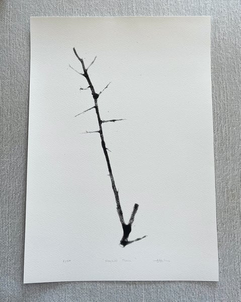 Image of Clayhill Thorn - Print