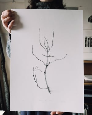 Image of Vanishing Ash Sketch - Print