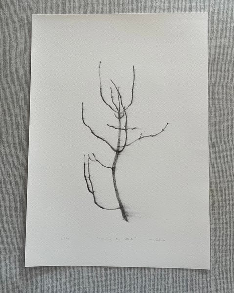 Image of Vanishing Ash Sketch - Print