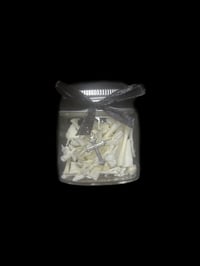 Image 2 of cane toad large bones jar