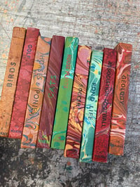 Image 3 of Hand Marbled vintage Observer's Books // range of titles available 