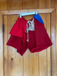 Image 1 of Burgundy  San Sweatshorts 