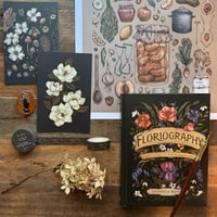 Image 1 of Gift Set: The Herbologist's Hodgepodge 