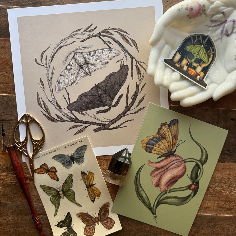 Image of Gift Set: The Entomologist's Edition