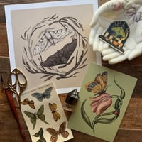 Gift Set: The Entomologist's Edition