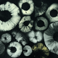 Mushroom Sporeprint Post card A6