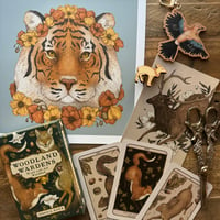 Image 1 of Gift Set: The Zoologist's Treasury