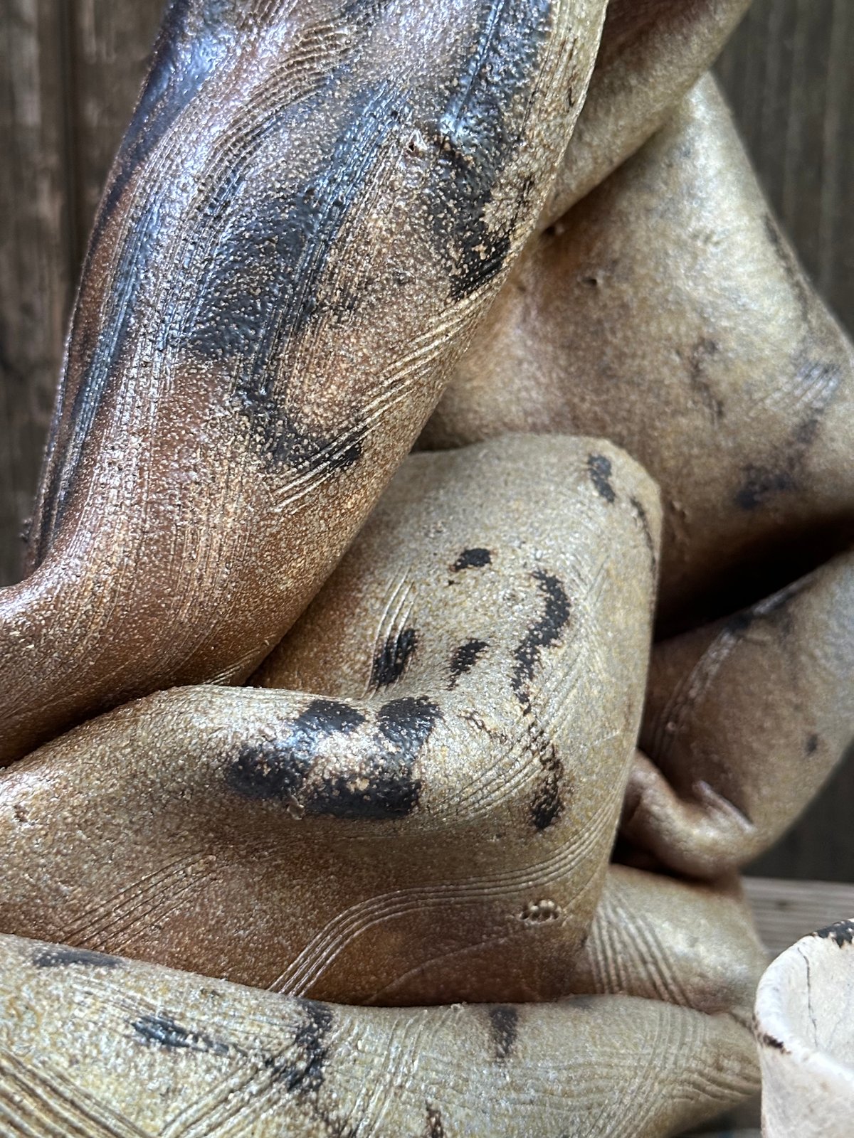 Image of Washoe, 2024